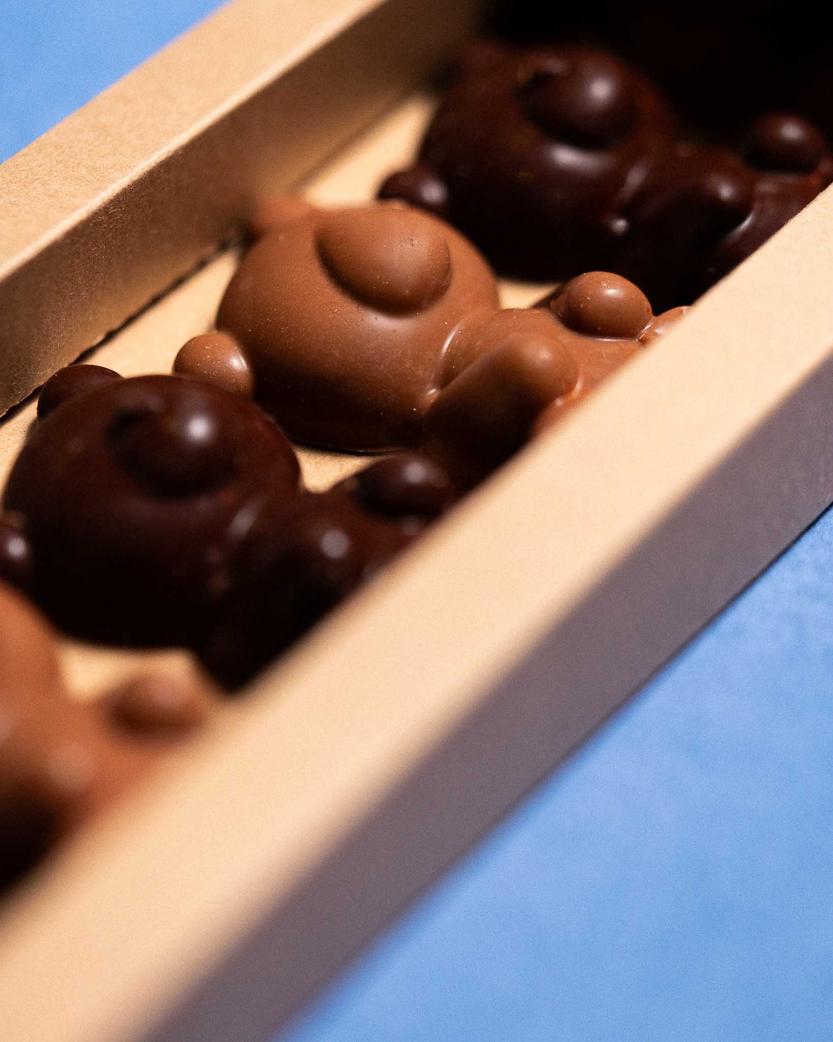 Oursons en chocolat — photo 2