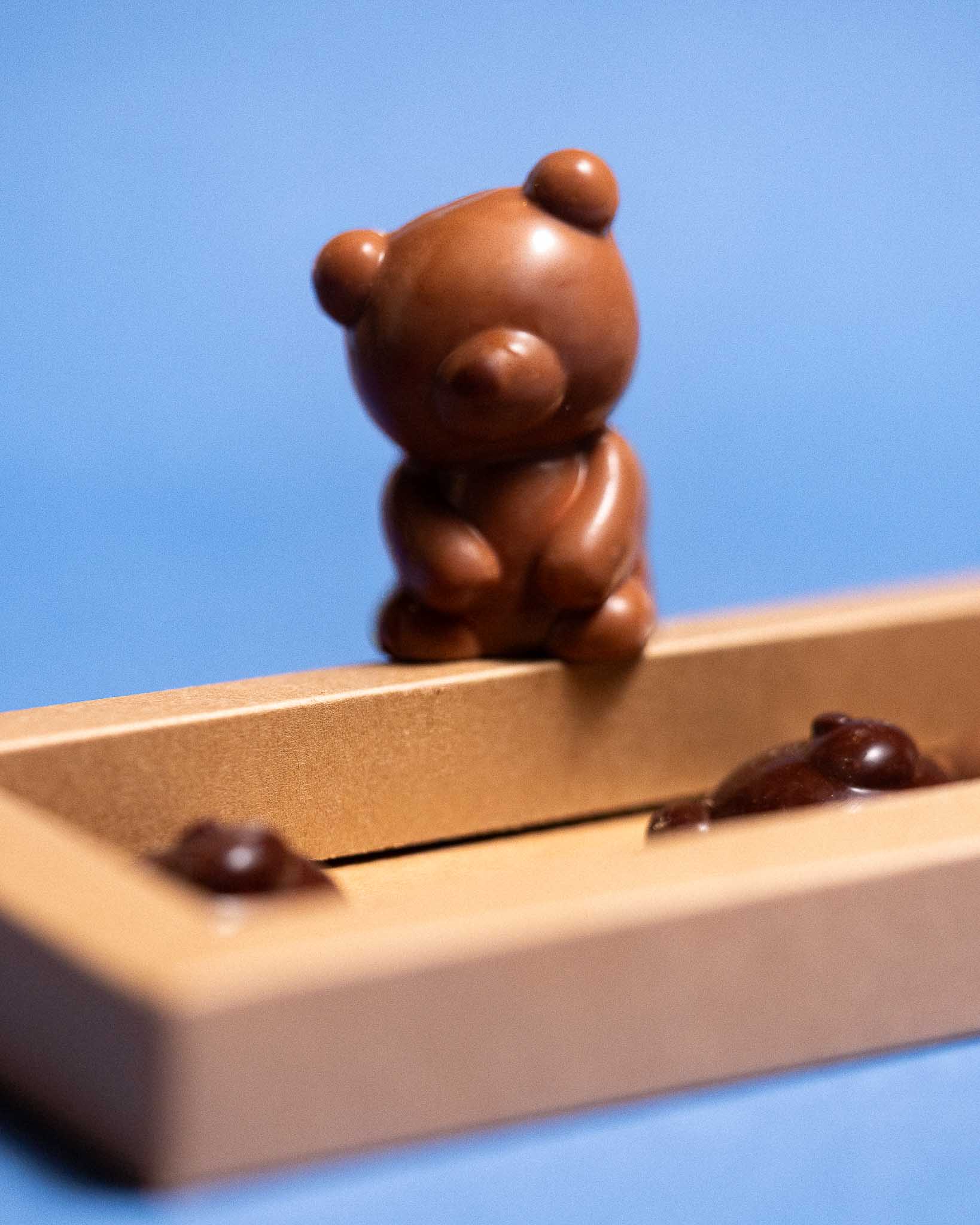 Oursons en chocolat — photo 3