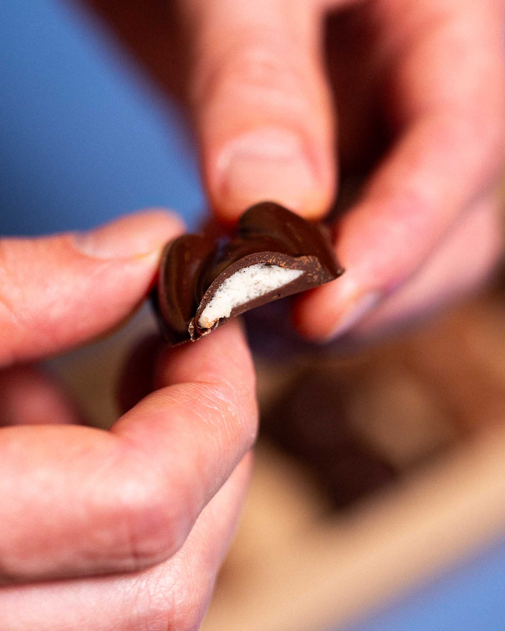 Oursons en chocolat — photo 4